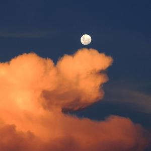 三级一级黄色电影
