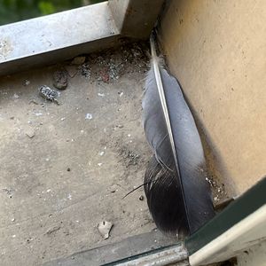 三级一级黄色电影
