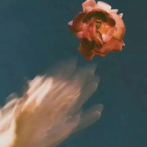 三级一级黄色电影
